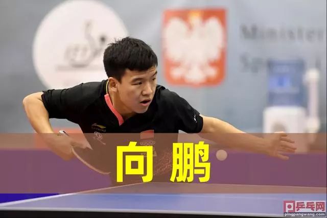 NBA常规赛焦点球队表现总结