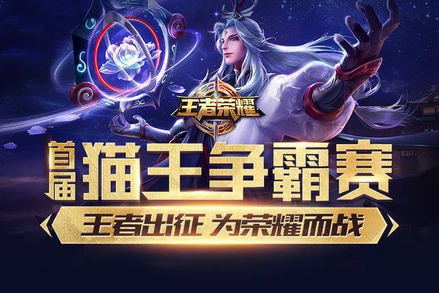 但在高波动